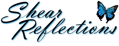 Shear Reflections Hair & Nails